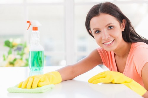 House cleaning tools and tidy home surfaces