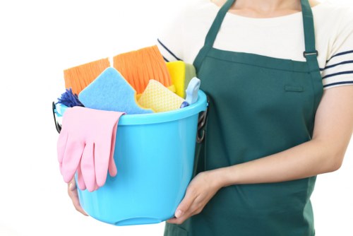 Sofa cleaning process in a modern living room