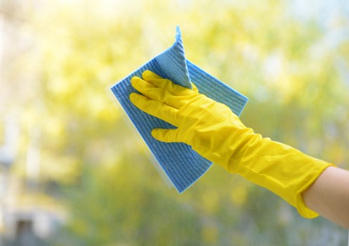 Professional carpet cleaning in a living room