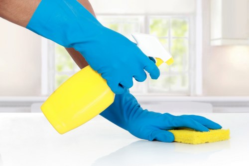 Eco-friendly carpet cleaning for fresh interiors