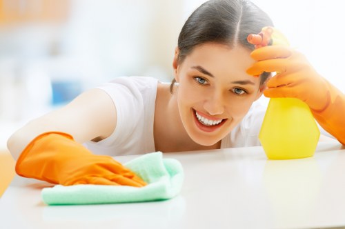Domestic cleaning in a bright living room with organized surfaces