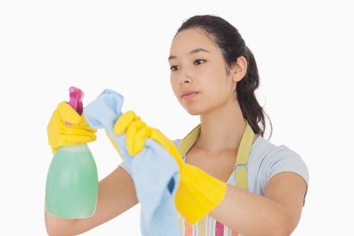 Deep house cleaning supplies and organized space