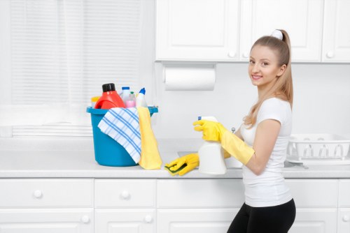 Deep cleaning for end of tenancy move-out checklist