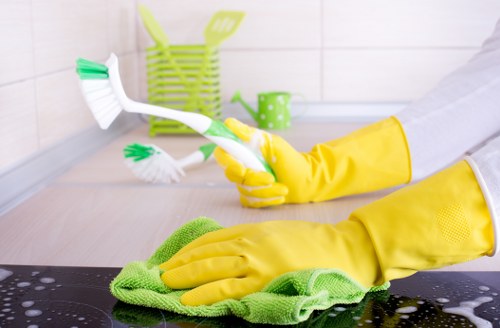 Bright residential windows after cleaning in Mayfair