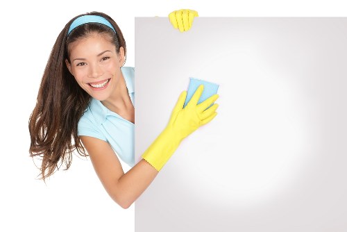 Professional domestic cleaning tools arranged for household use
