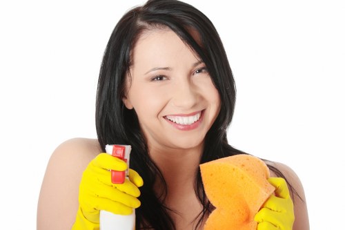 Kitchen domestic cleaning with a disinfected countertop and sink